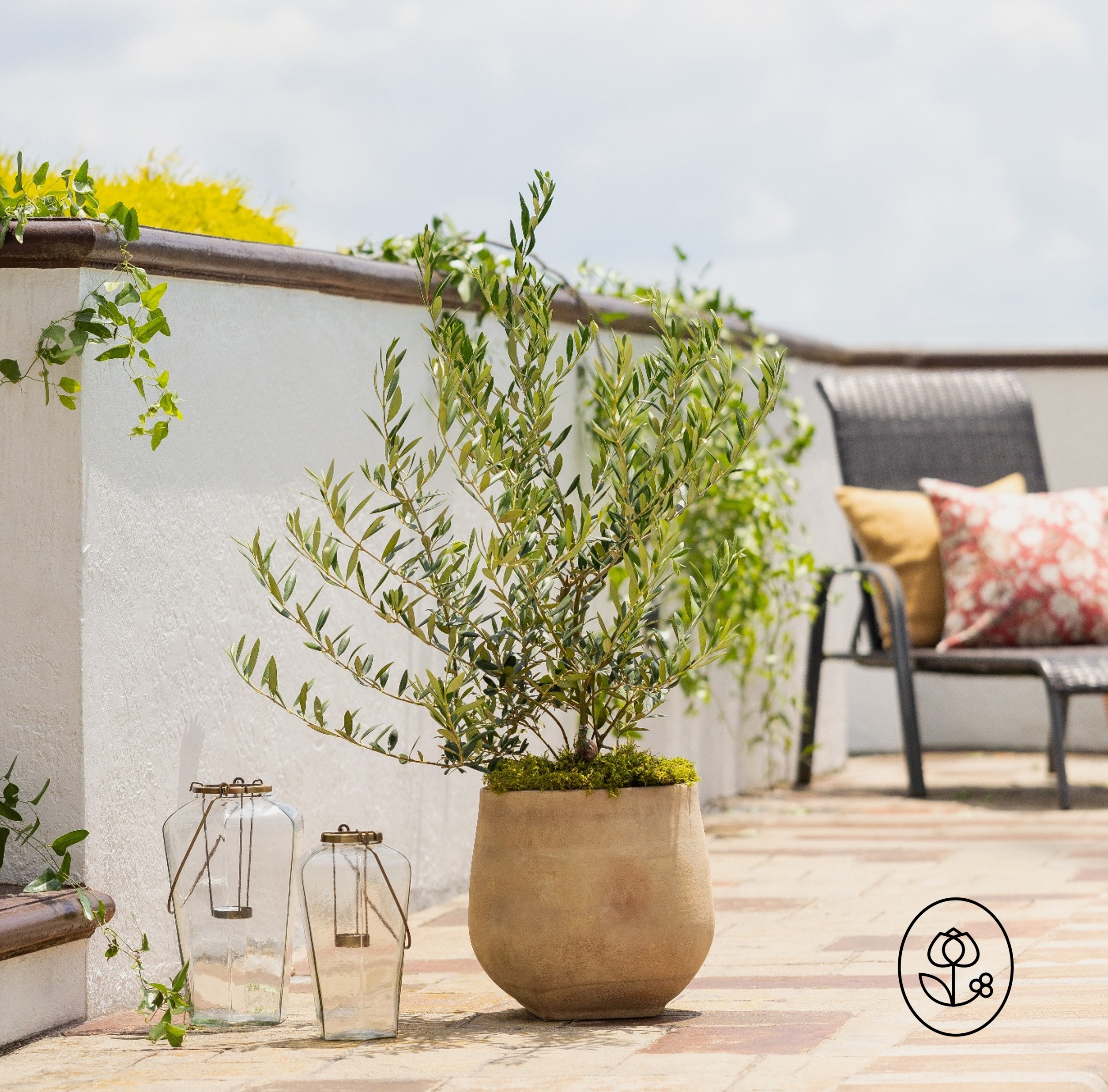 2.25 G Olive Lifestyle Dewar