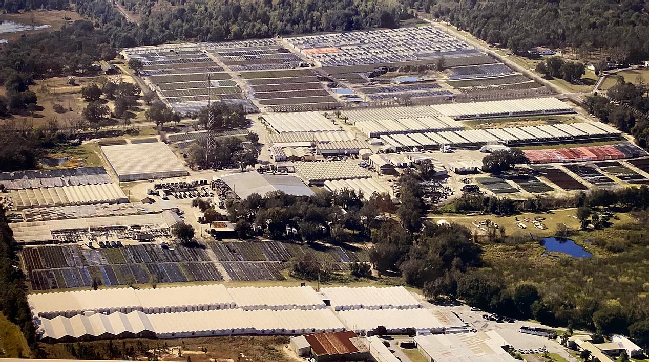 About Dewar Nurseries