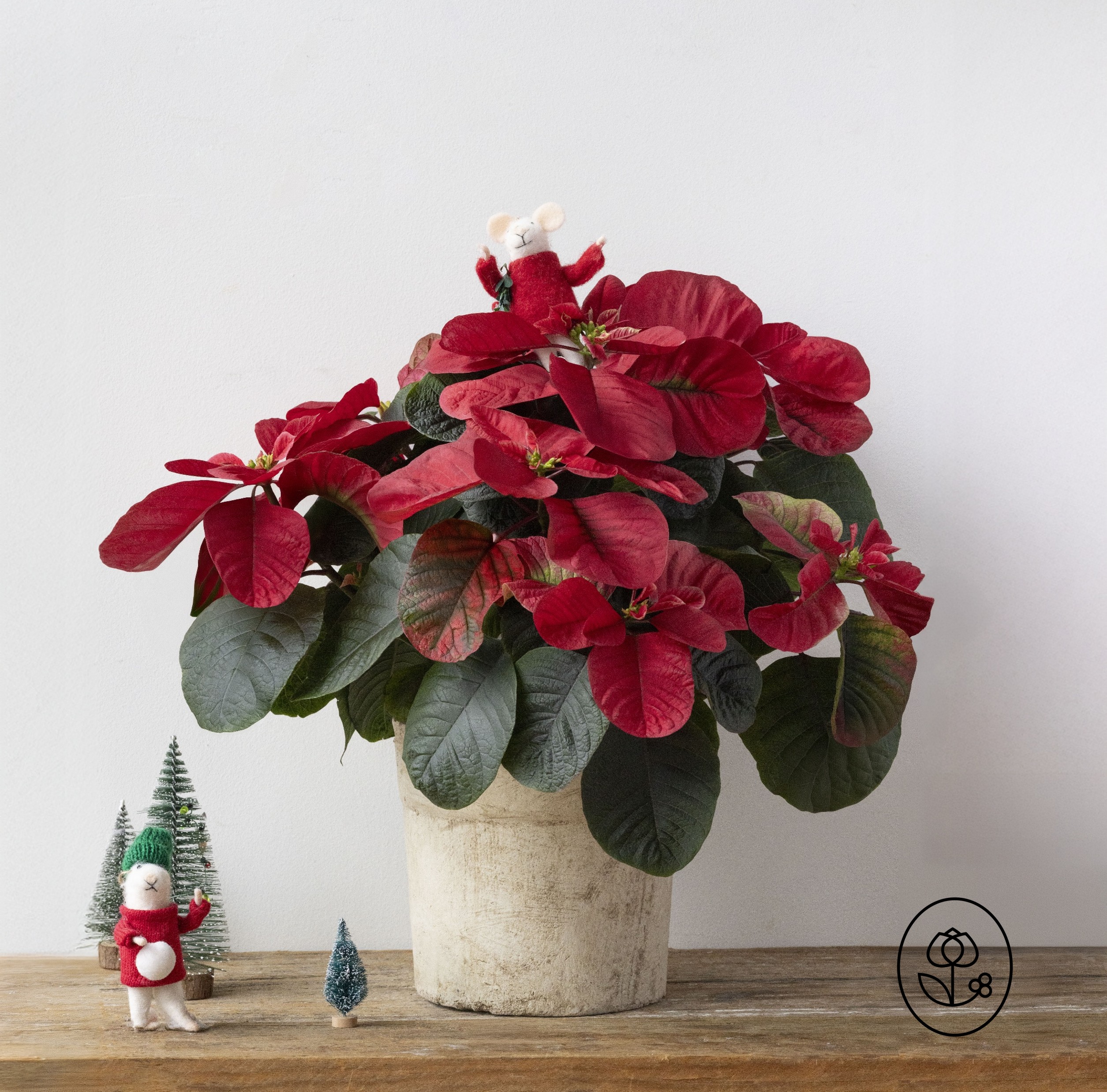 Christmas Mouse Lifestyle Dewar