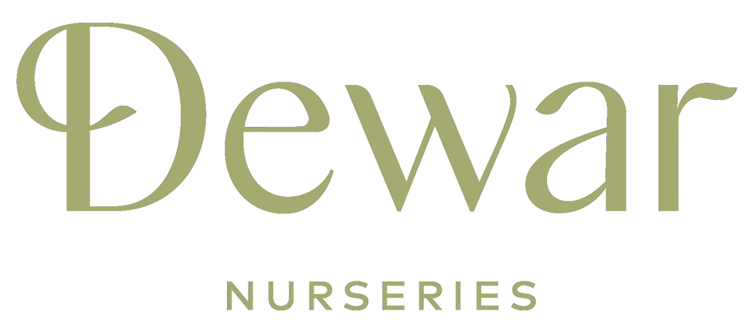 Dewar Nurseries