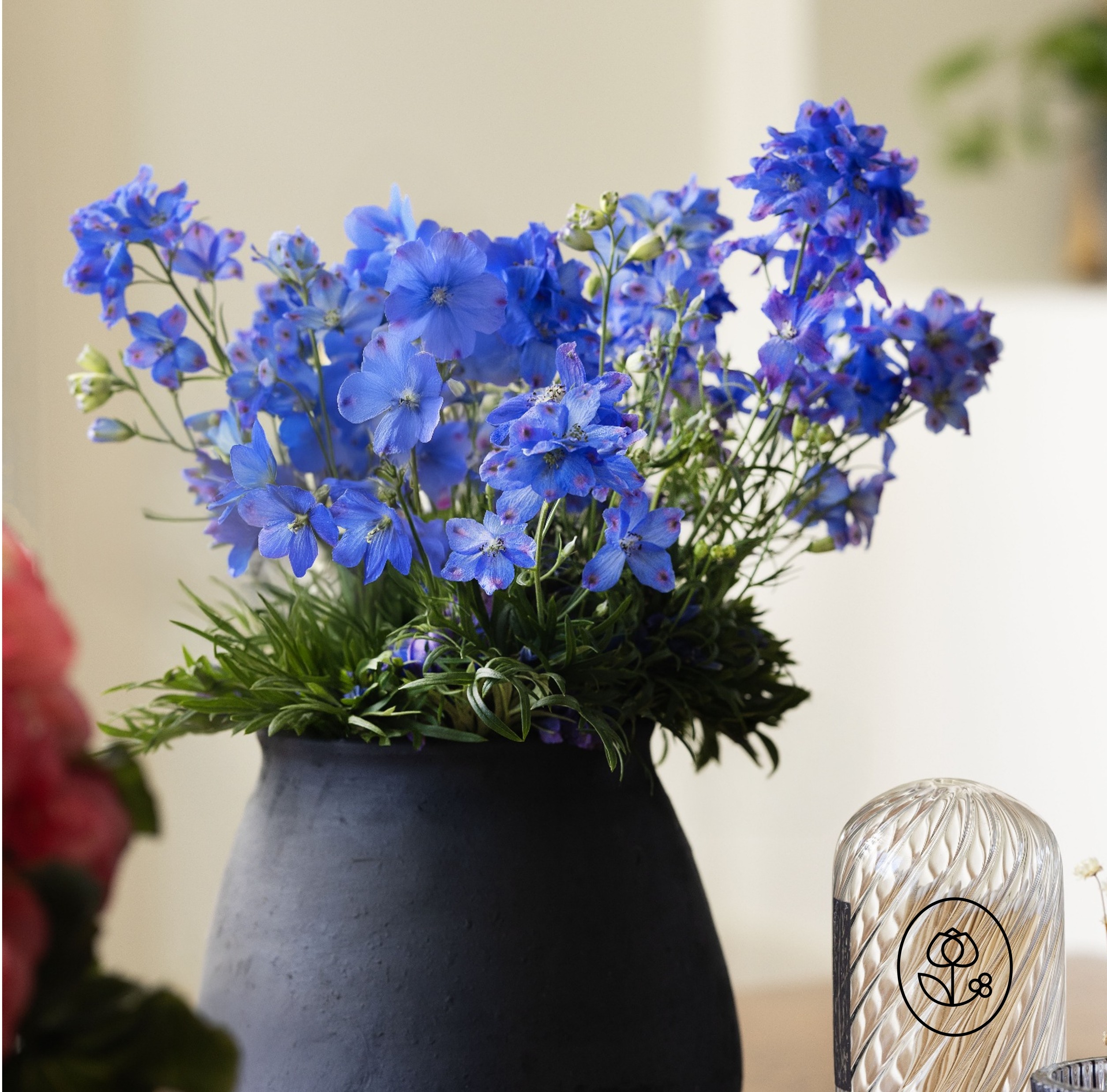 Delphinium Closeup Dewar