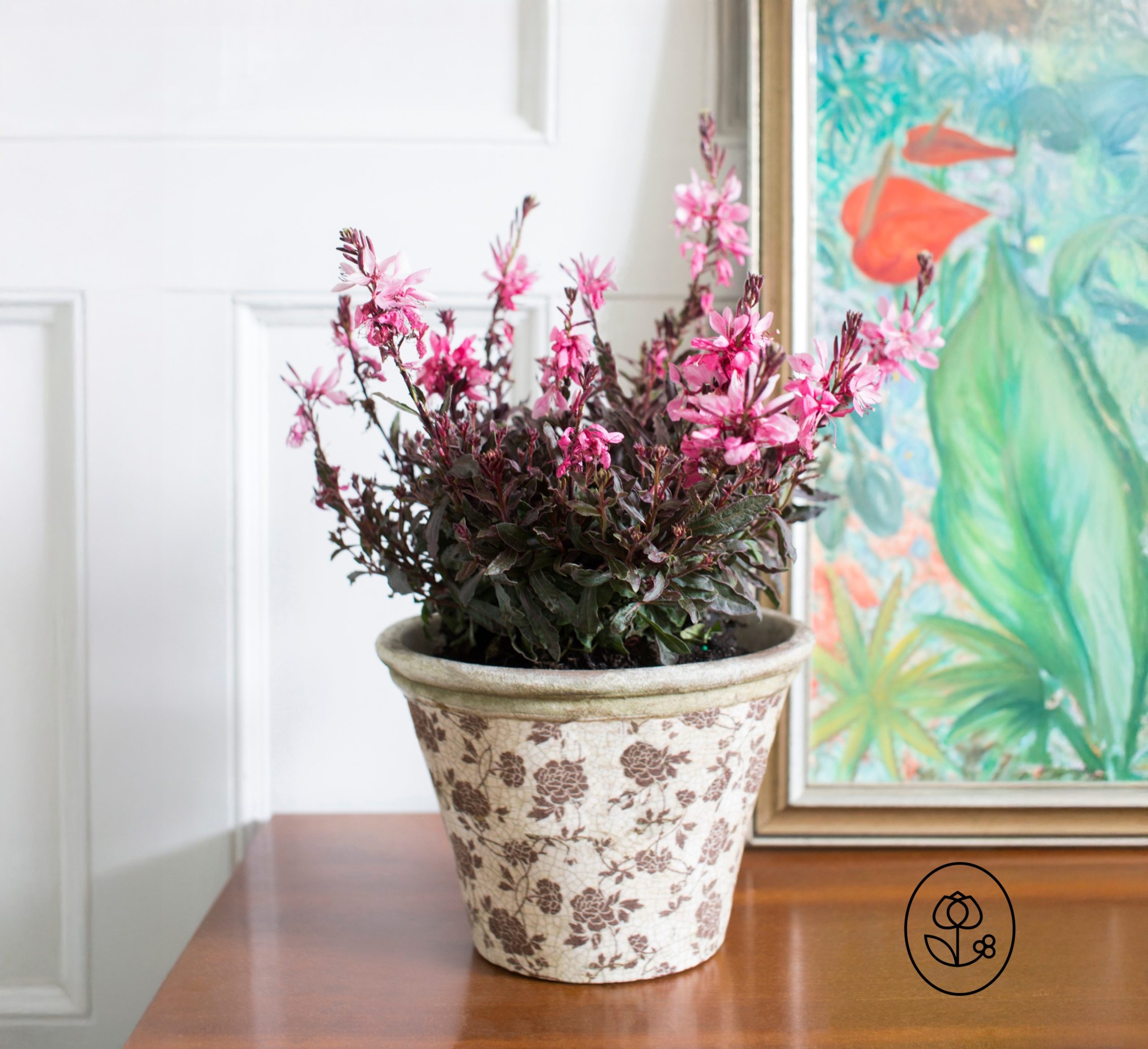 Gaura Lifestyle Dewar