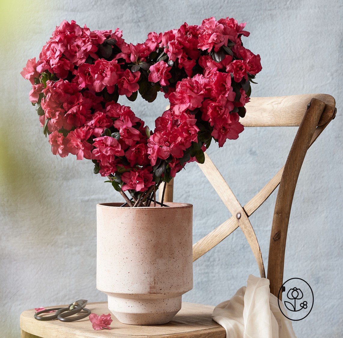 Pink Azalea Heart Topiary Lifestyle Dewar