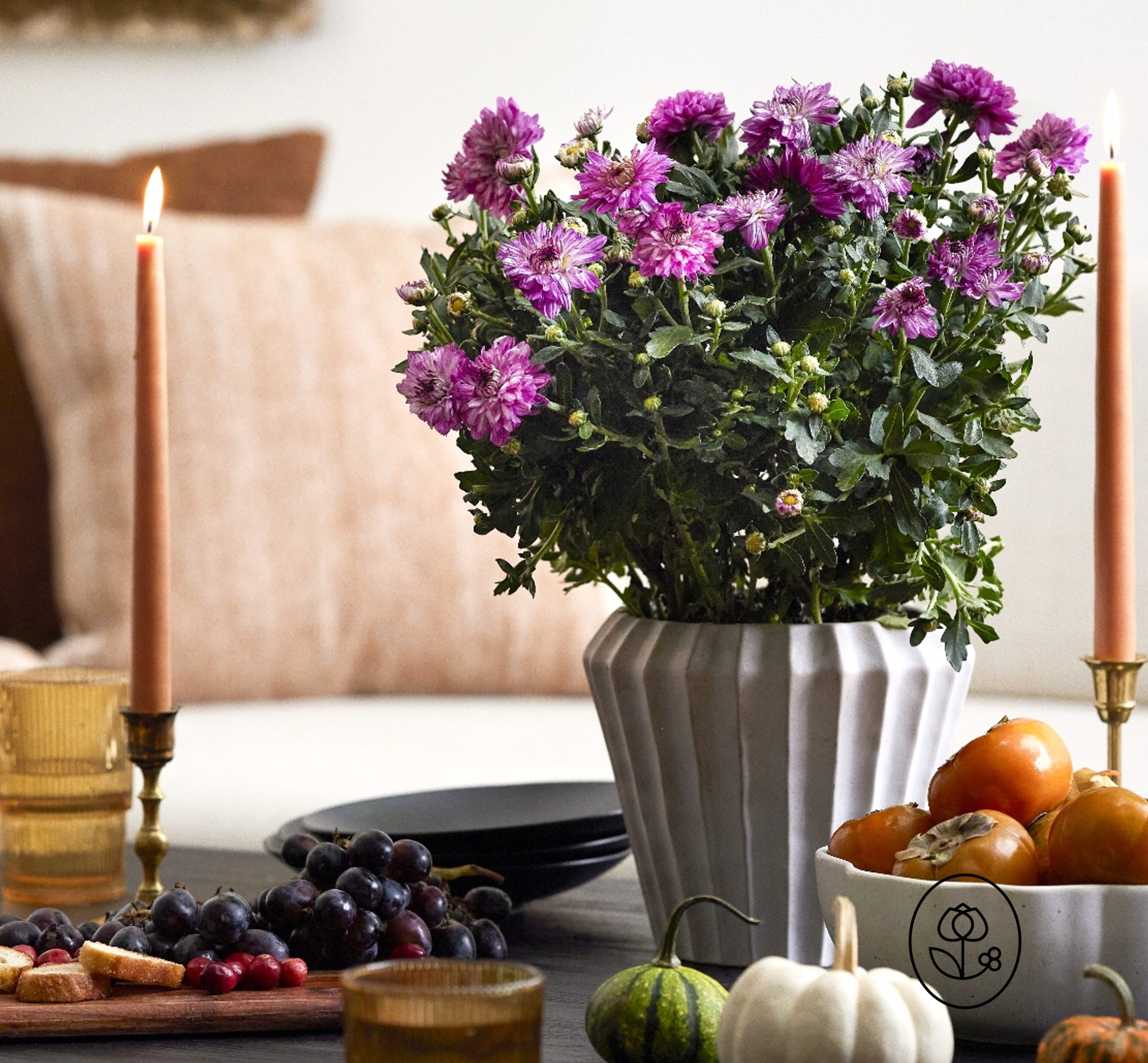 Purple Floral Mum Dewar