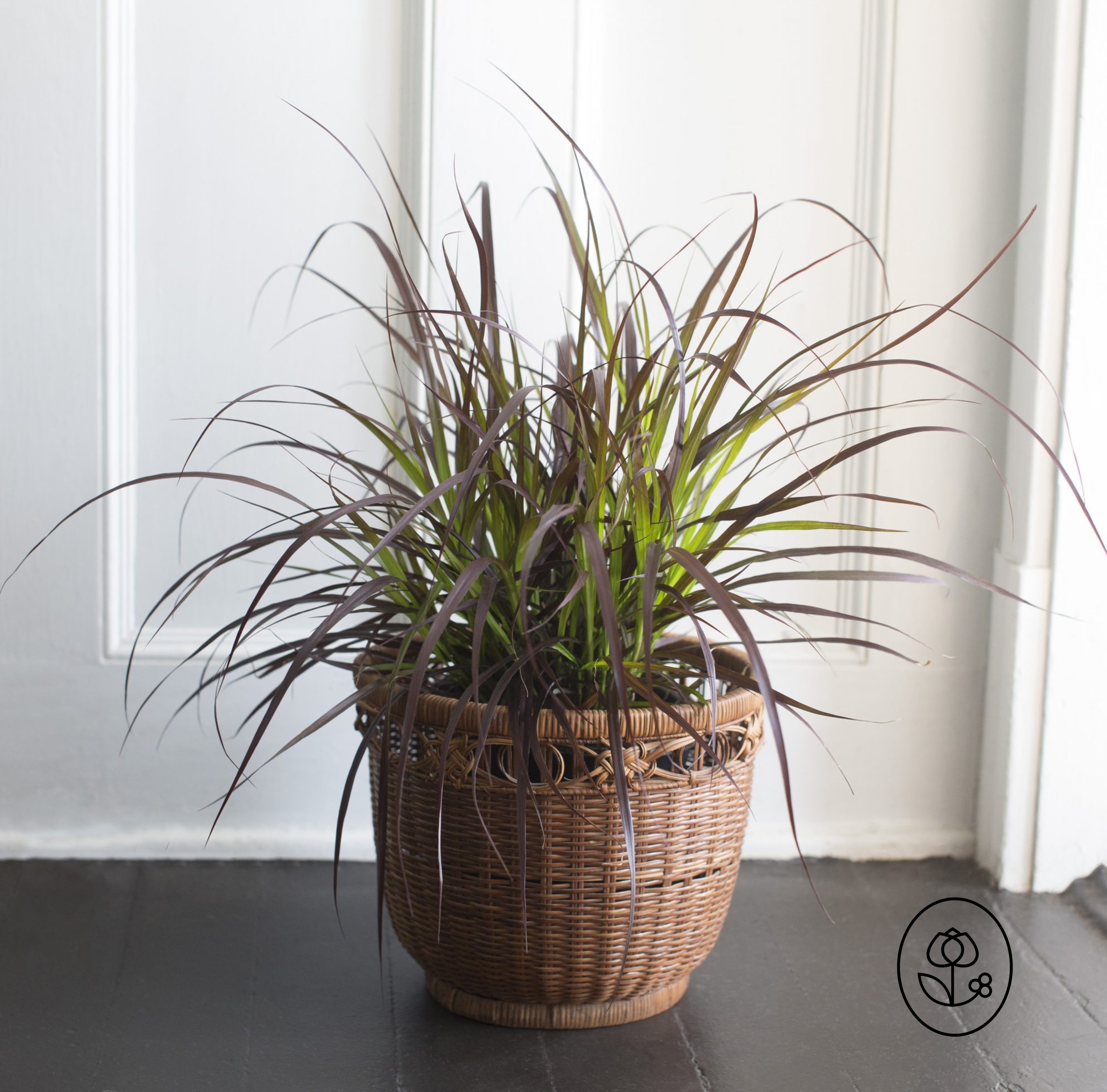 Rubrum Lifestyle Dewar