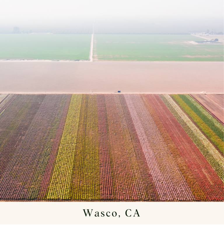 About Dewar Nurseries